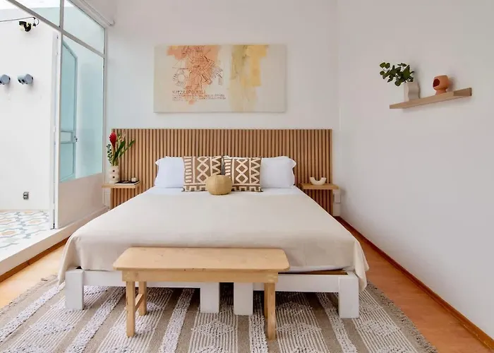 Fantastic House 6br Patio & Terrace Roma Norte