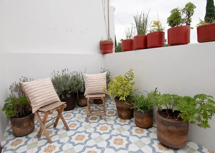 Fantastic House 6br Patio & Terrace Roma Norte *